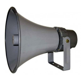 Horn Speaker