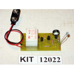 Electronic Thermostat 12022